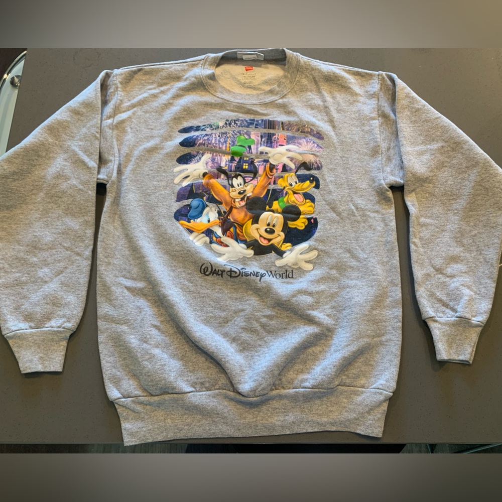 Hanes Walt Disney World Crewneck Sweatshirt - SIZE: Youth XL